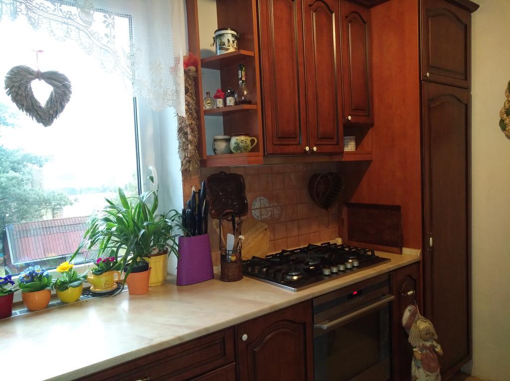 Ubytování Irena Benesov  Exterior foto